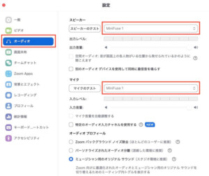 Zoom Setting